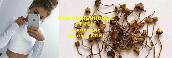 прущая мука Корсаков