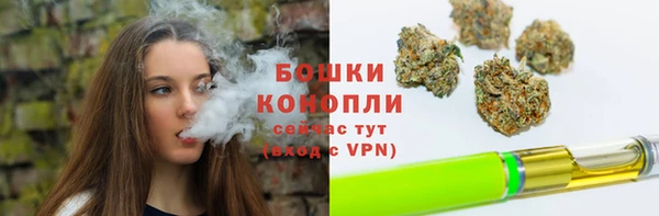 прущая мука Корсаков